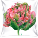 Цветок тюльпан акварель