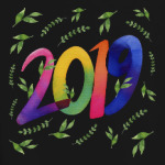 Новый Год 2019