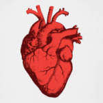 Сердце