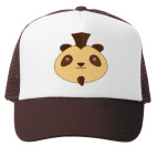 Смешная панда панк