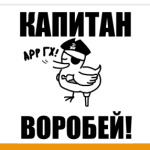  'Капитан воробей!'
