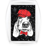 Бассет-хаунд