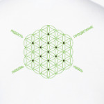 Цветок Жизни