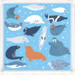 Ластоногие