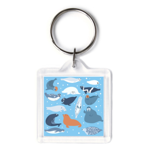 Брелок Ластоногие