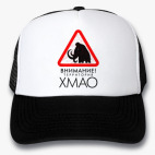 Кепки Trucker