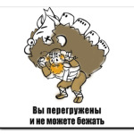 'Вы перегружены'
