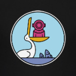 Pelican mistake