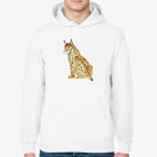 Толстовка худи