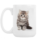 Кошки и котята