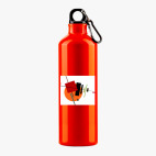 Металлическая бутылка 700 мл UV-DTF