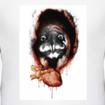 Енот-полоскун