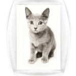 Котики-котята