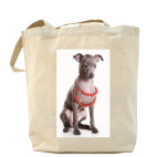 Холщовая сумка