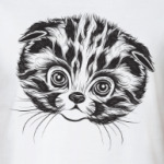 кот