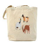 Холщовая сумка