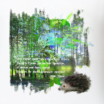 Ежик. Мимими. Дорога. Деревья. Роща. Небо.