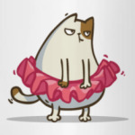 Пятничный Котик №1