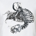 Skeleton5