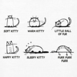 Soft kitty The Big Bang Theory