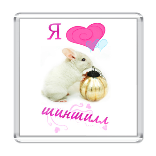 Магнит Шиншилла