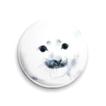 Малыш тюлень