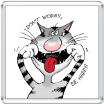   CRAZY CAT