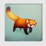 Красная панда