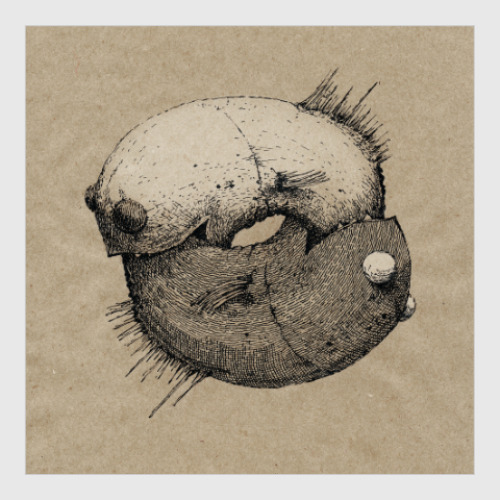 Постер с принтом Tai Chi