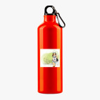 Металлическая бутылка 700 мл UV-DTF