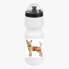 Велобутылка