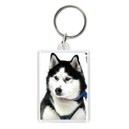 Брелок с принтом Хаски