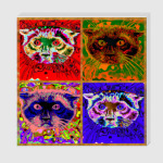 Сиамский герой . Психоделика