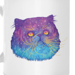 SPACE CAT
