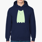 Котовидение