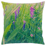 Луговые цветы