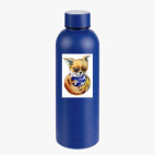 Термобутылка