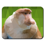 Обезьяна носач Сирано