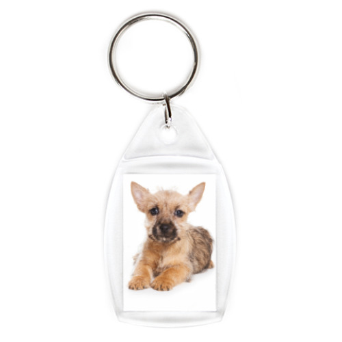 Брелок с принтом Щенок