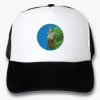 Кепки Trucker