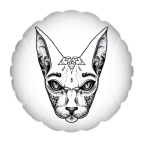 Кошка сфинск