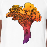 Яркая лисичка