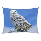 снежная птица