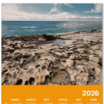 Берег Каспийского моря