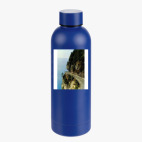 Термобутылка