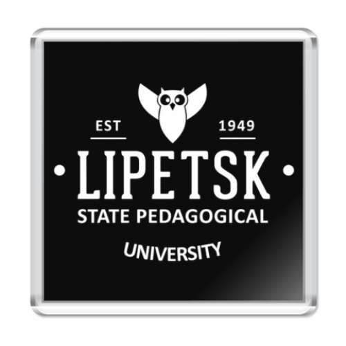Магнит LSPU