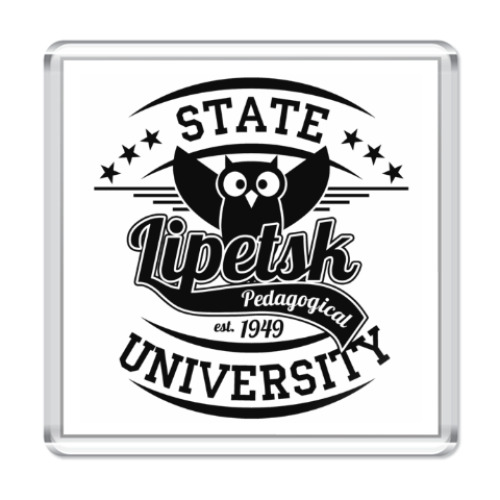 Магнит с принтом LSPU Owl