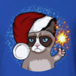 Новогодний грустный кот