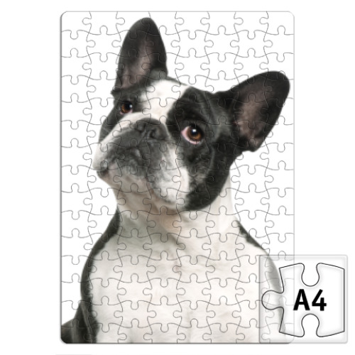 Пазл с принтом Фр.Буль