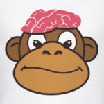 Обезьяньи мозги